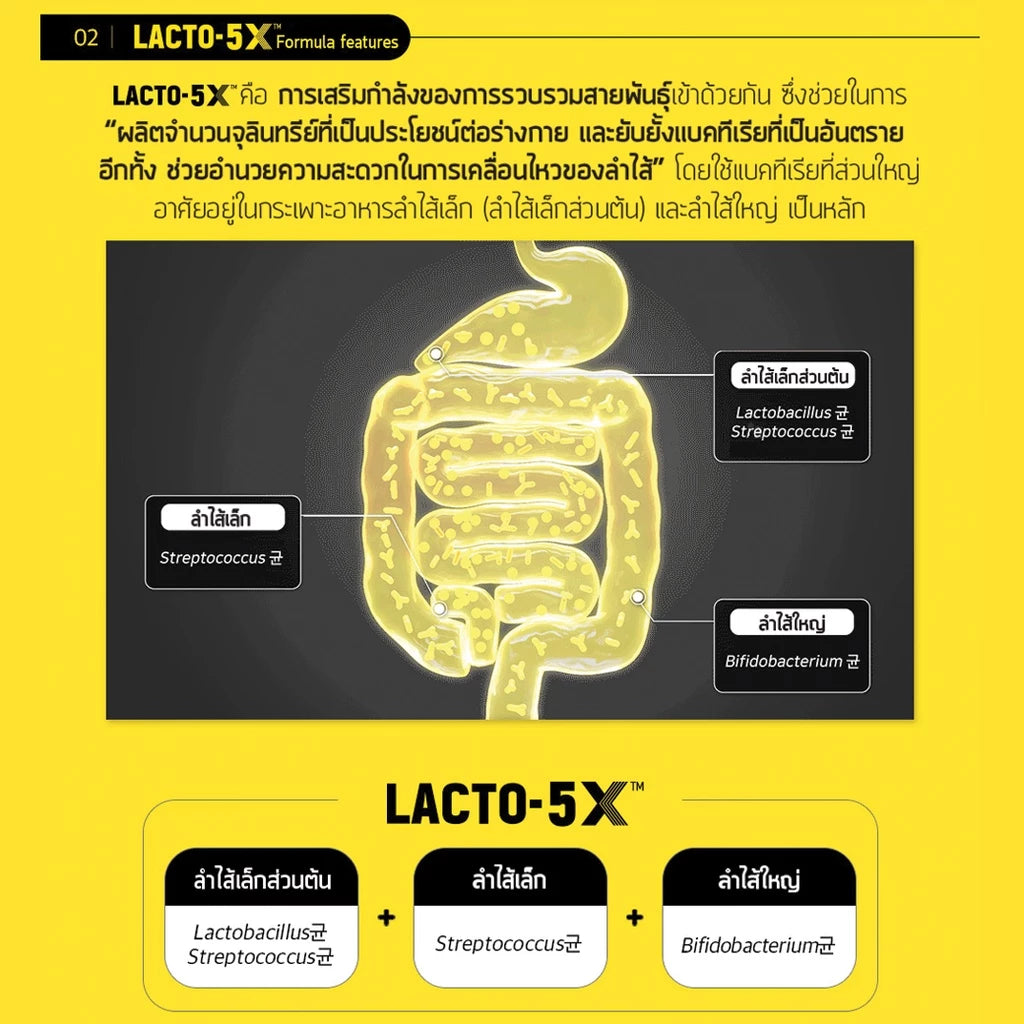 Thai FDA registered Lacto-Fit Probiotic Gold Upgrade for digestive comfort immunity gut balance