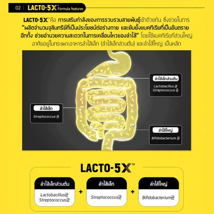 Thai FDA registered Lacto-Fit Probiotic Gold Upgrade for digestive comfort immunity gut balance