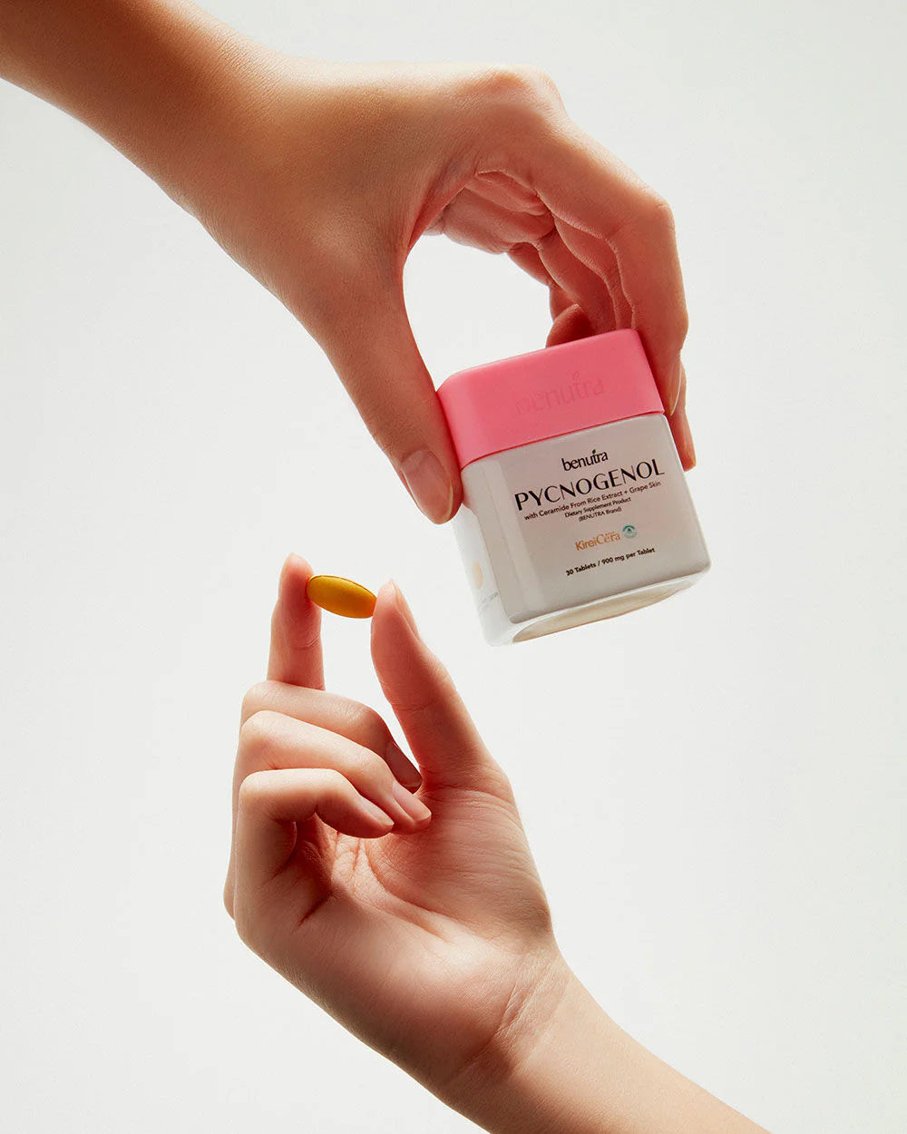 Benutra Pycnogenol with Ceramide From Rice Extract 