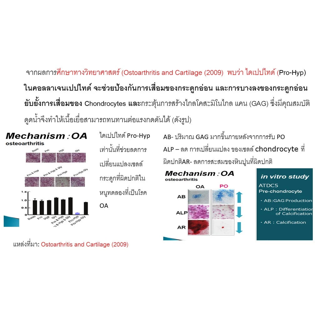 MATELL Collagen Dipeptide Plus Rice Ceramide – Japan's Smallest Collagen Molecule for Skin, Joints & Bones