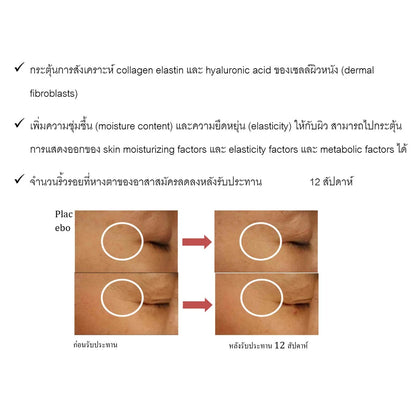 MATELL Collagen Dipeptide Plus Rice Ceramide – Japan's Smallest Collagen Molecule for Skin, Joints & Bones