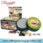 Rasyan Herbal Clove Toothpaste 25g Thai natural whitening charcoal formula in iconic round pot showing bright white teeth for wholesale