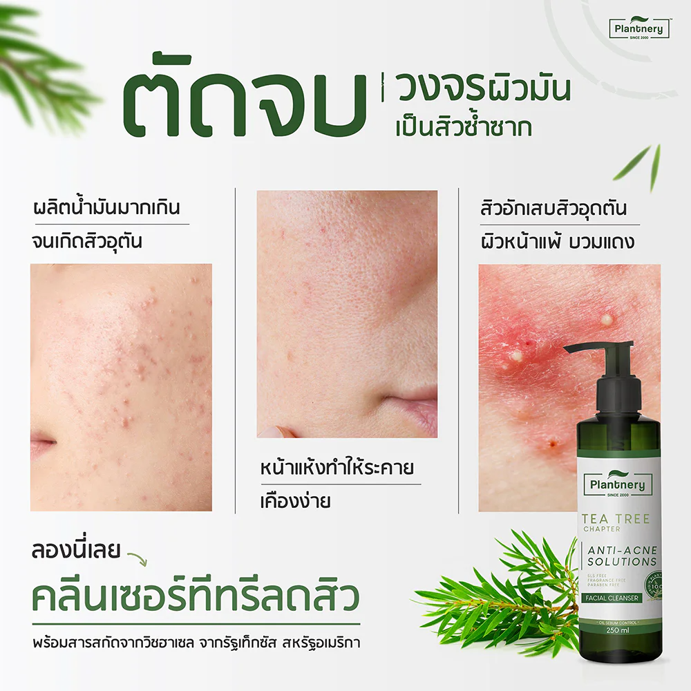 Thai FDA registered Plantnery Tea Tree Facial Cleanser 10-1-6300026651 dermatologist-tested alcohol-free suitable for oily acne-prone sensitive skin