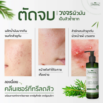 Thai FDA registered Plantnery Tea Tree Facial Cleanser 10-1-6300026651 dermatologist-tested alcohol-free suitable for oily acne-prone sensitive skin