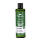 Plantnery Tea Tree First Toner 250ml bottle packaging Thailand acne control facial toner with Tea Tree Oil Niacinamide Zinc PCA