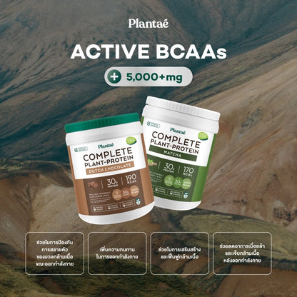 Plantae x Chatramue Complete Plant Protein Original Thai Tea Flavor 800g jar packaging Thailand vegan protein powder