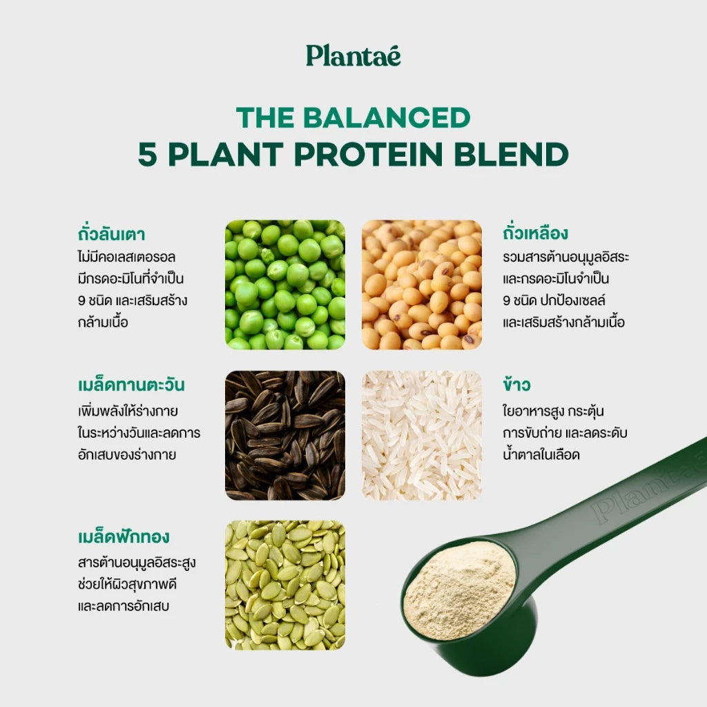 Plantae x Chatramue Plant Protein powder texture close-up pea protein rice protein Thai tea extract formula