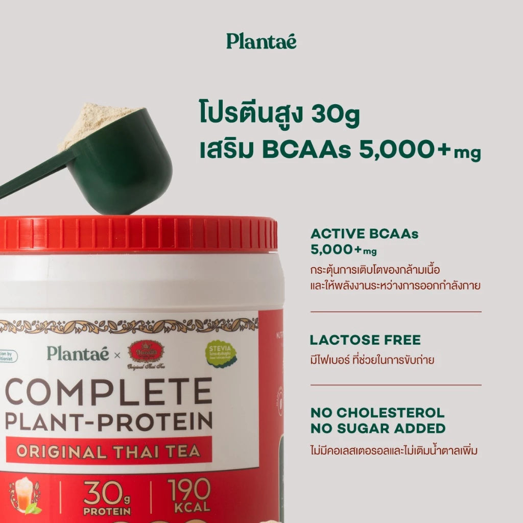 Plantae x Chatramue Complete Plant Protein Original Thai Tea Flavor 800g jar packaging Thailand vegan protein powder