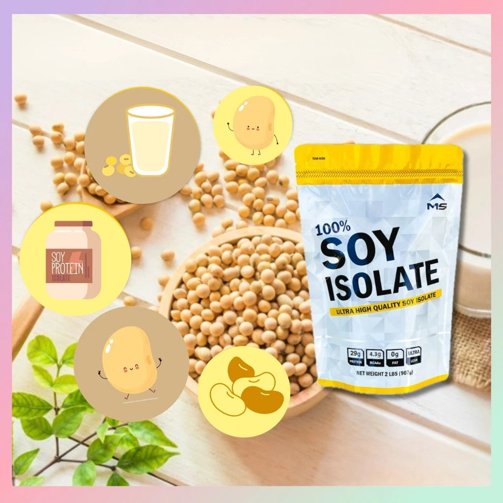 Thai FDA registered MS Soy Protein Isolate natural chocolate flavors dairy-free muscle recovery
