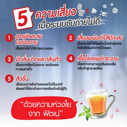 Fitne Herbal Tea sachets packaging Thailand natural digestive wellness tea with Senna Terminalia Chebula Stevia botanicals