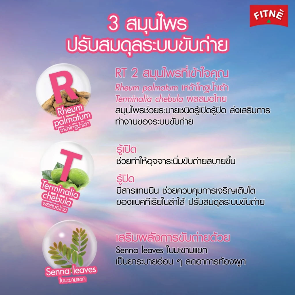 Fitne Herbal Tea sachets packaging Thailand natural digestive wellness tea with Senna Terminalia Chebula Stevia botanicals