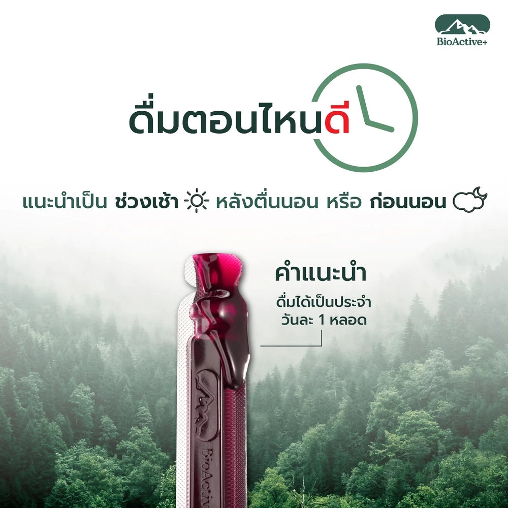 Thai FDA registered BioActive+ Liquid Collagen 73-1-11365-5-0499 Halal certified premium inner beauty supplement