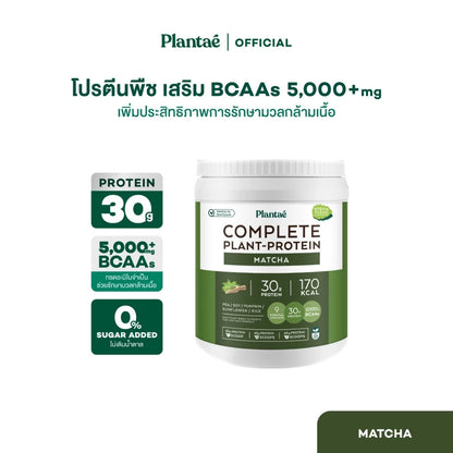 Thai FDA registered Plantae Complete Plant Protein Active BCAAs for muscle recovery vegan fitness 800g container