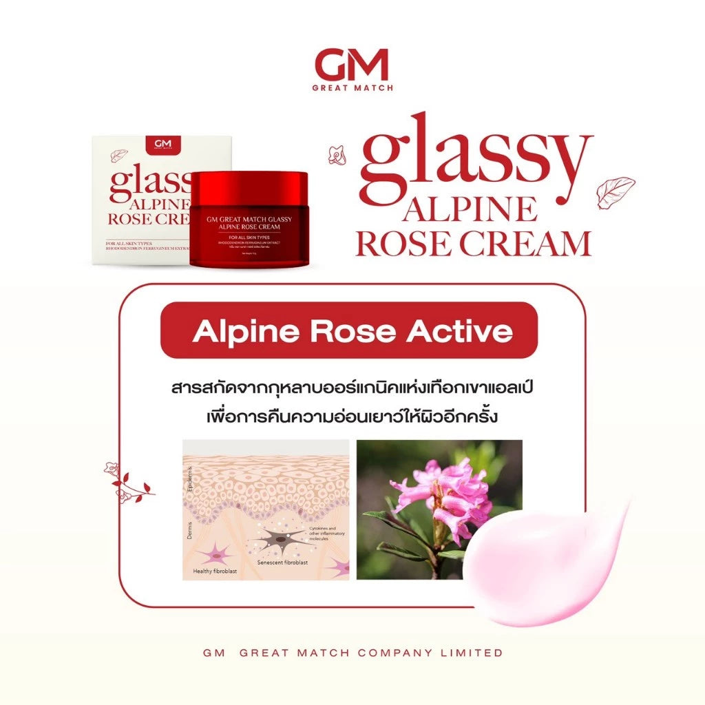 GM Great Match Glassy Alpine Rose Cream – Alpine Stem Cell | Plump, Bright & Anti-Aging
