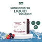 BioActive+ Concentrated Liquid Collagen Mixed Berry vial packaging Thailand firming hydration supplement drink with Japanese extracts